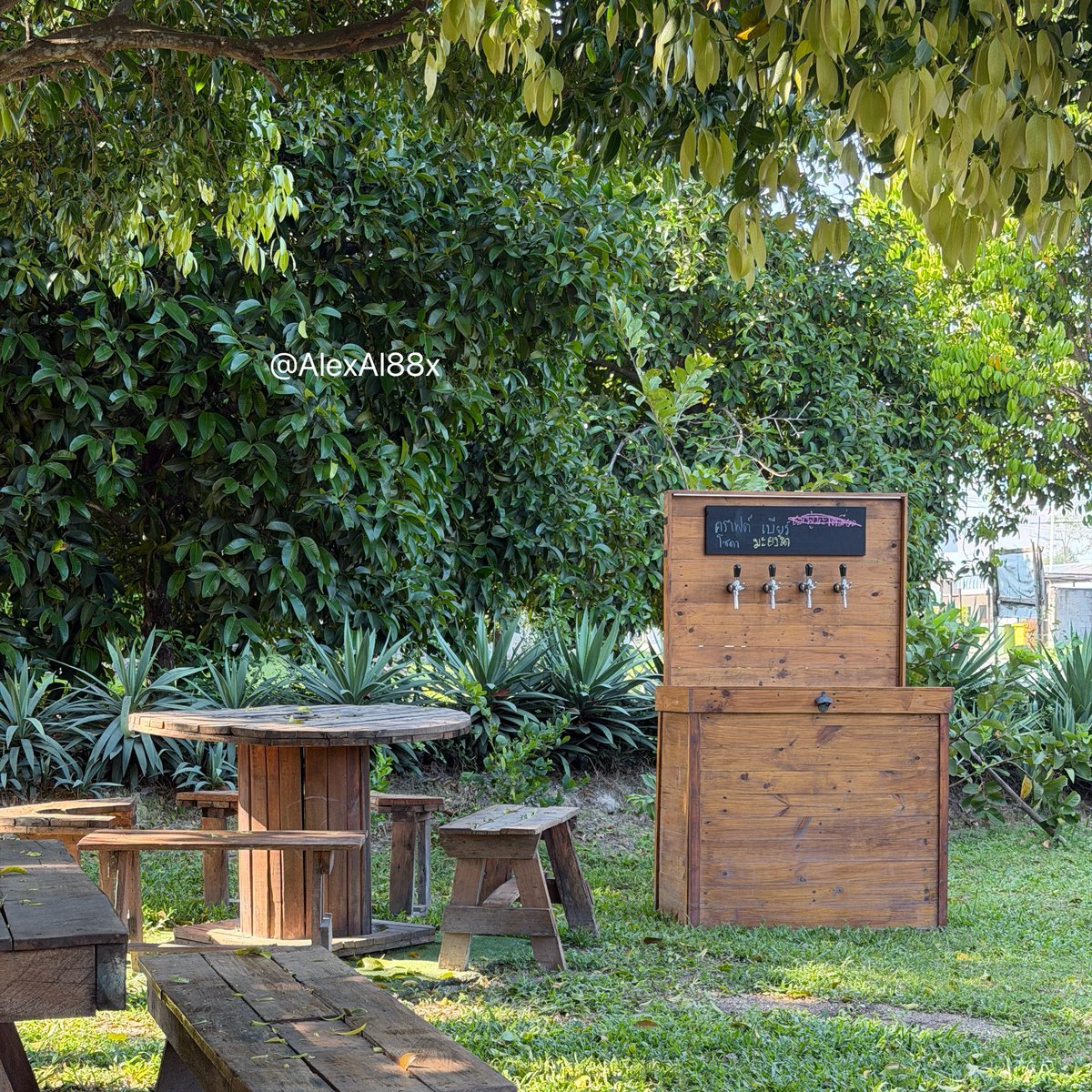 Alex🦉 tweet media