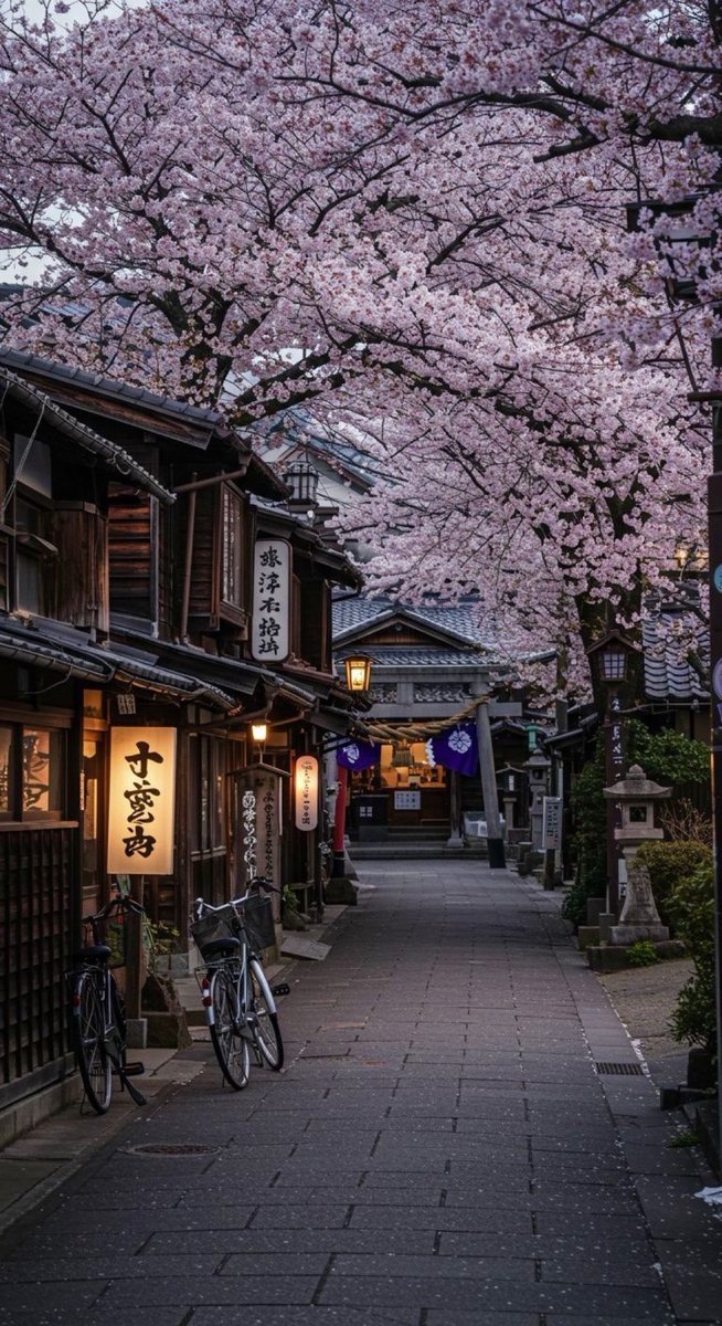 viewsoff's tweet photo. Spring in Japan. 🌸 https://t.co/kPjSC5Afyp
