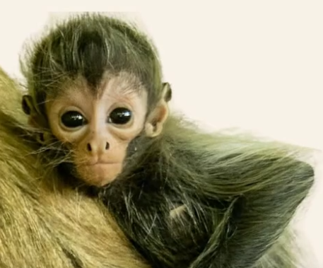 James (@jamesfarme86479) on Twitter photo 