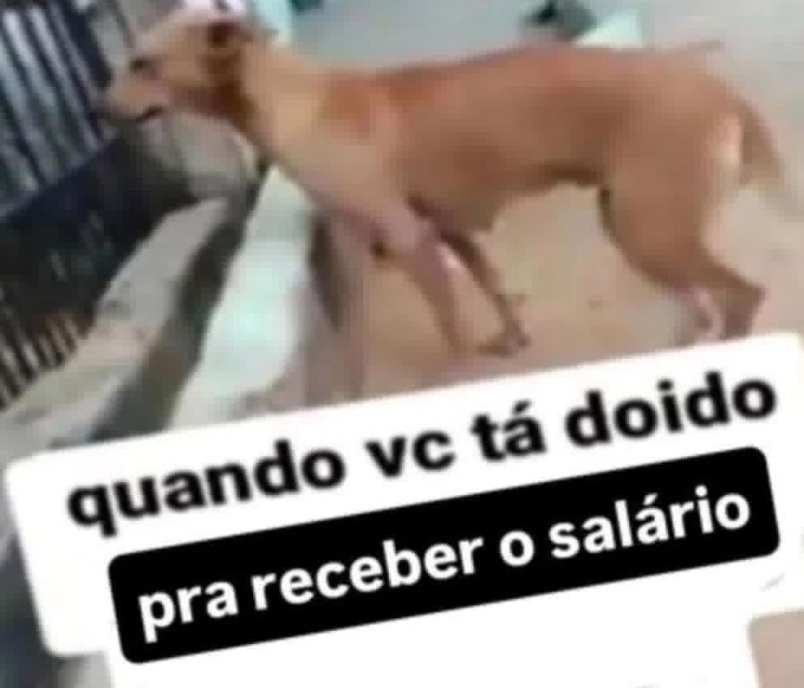 ana (@exaustie) on Twitter photo 