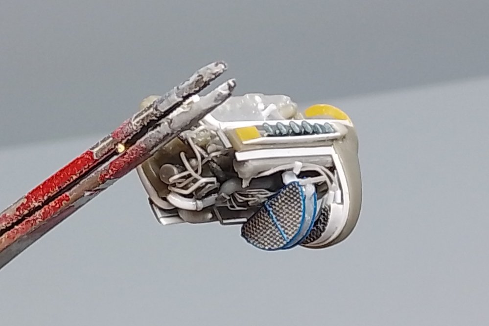 エッチ ングの革命戦士みやさん (@vUd2ostNAJz5boT) / Posts / X