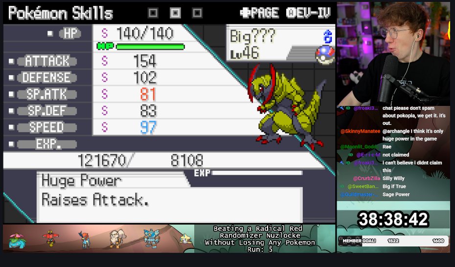 Patterrz tweet media