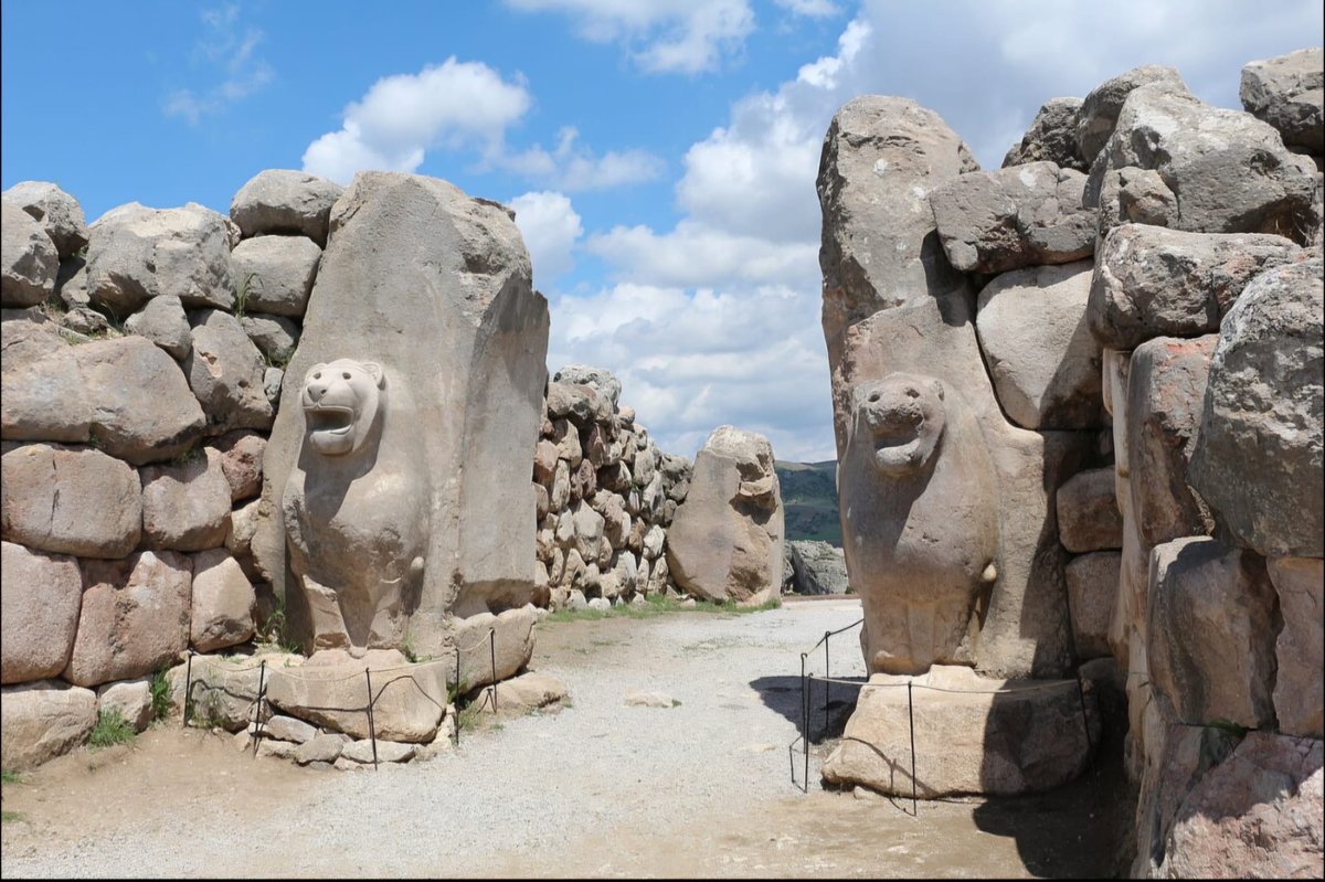 Erhan AFYONCU tweet media