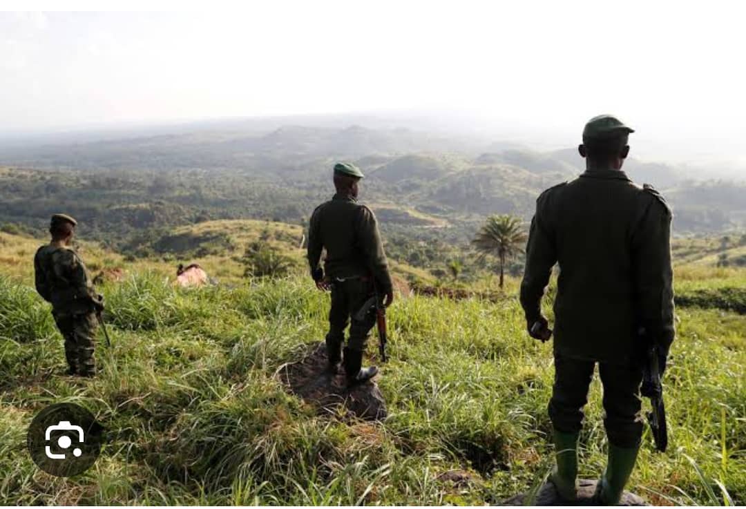 #marchoogsteyns tweet media