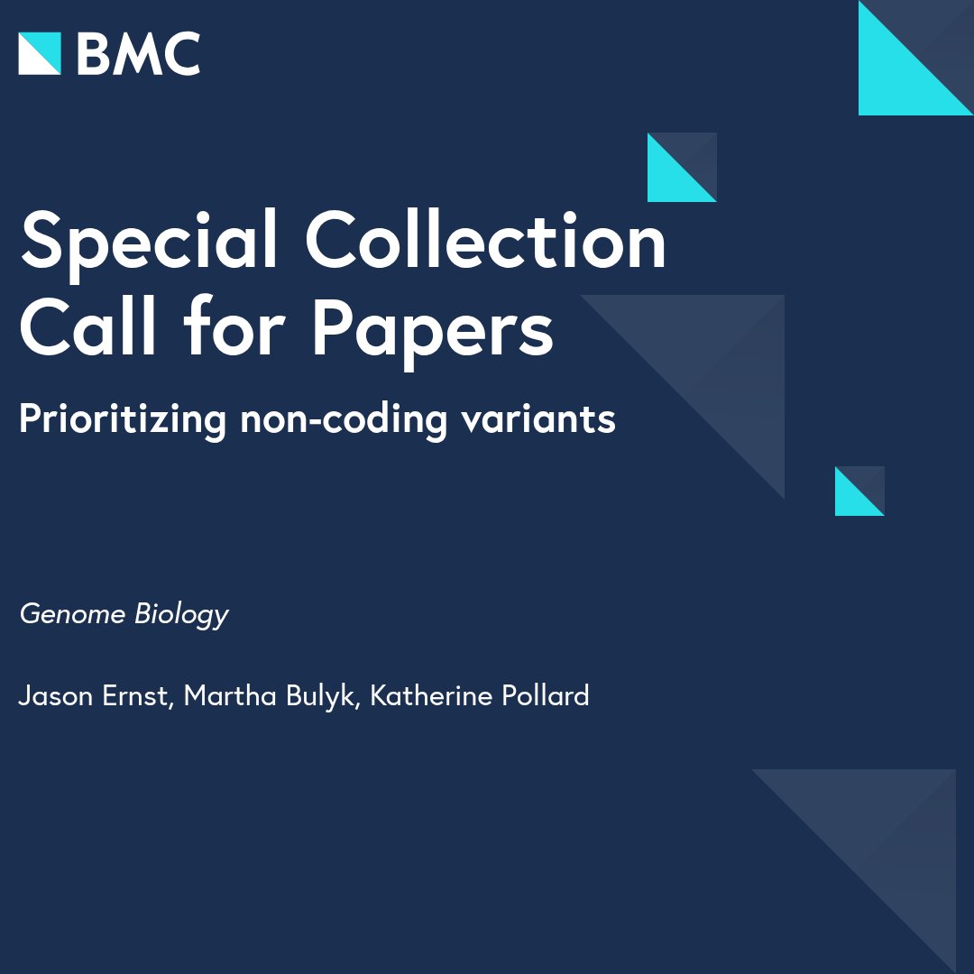 Jason Ernst tweet media