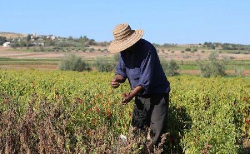 World Bank Approves $50 Million in Additional Financing for Flood Resilience in Tunisia ecofinagency.com/news/0503-5350…