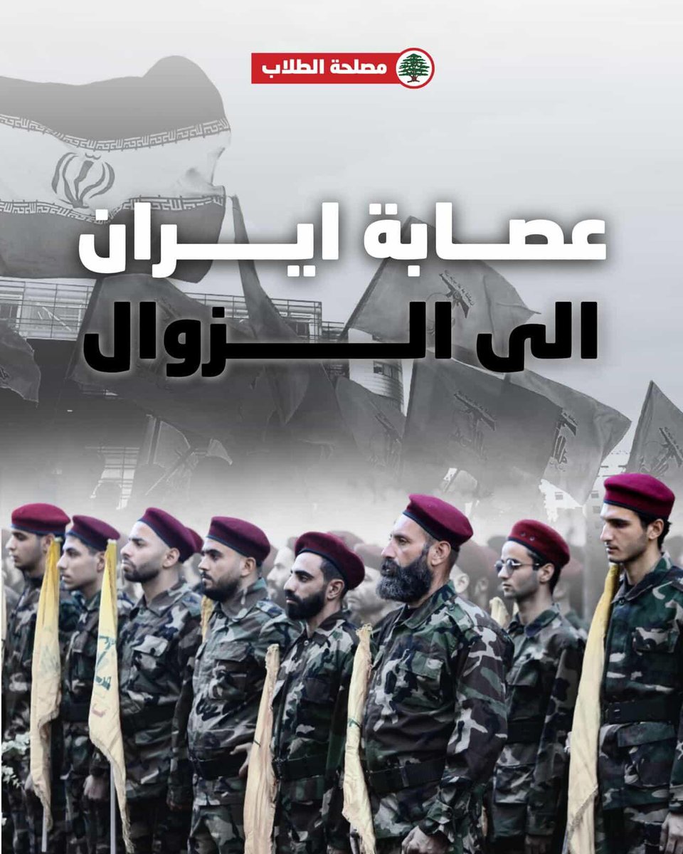 Lebanese Forces Students - مصلحة الطلاب tweet media