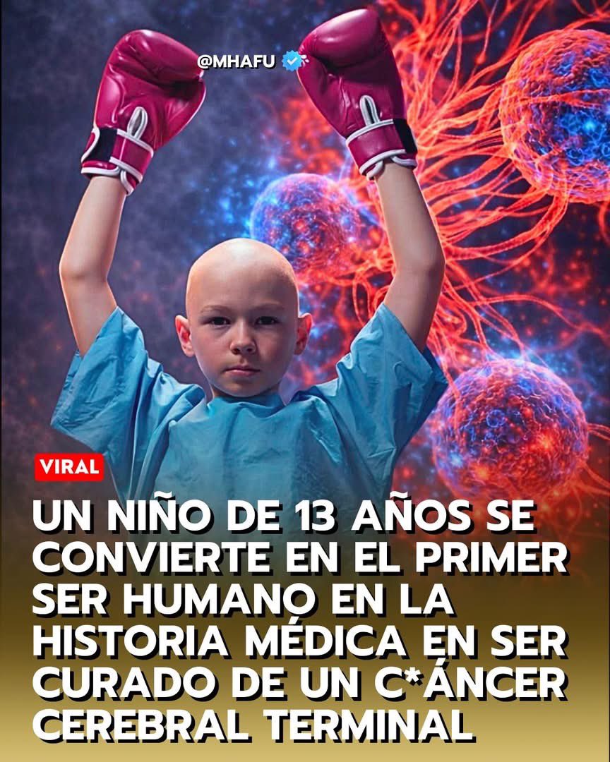 🧠 Un niño belga de 13 años, Lucas Jemeljanova, diagnosticado a los 6 con glioma pontino intrínseco difuso (DIPG), un tumor cerebral agresivo e inoperable con pronóstico de meses. Como último recurso, participó en el ensayo BIOMEDE en Gustave Roussy (Francia).

🧬 Recibió