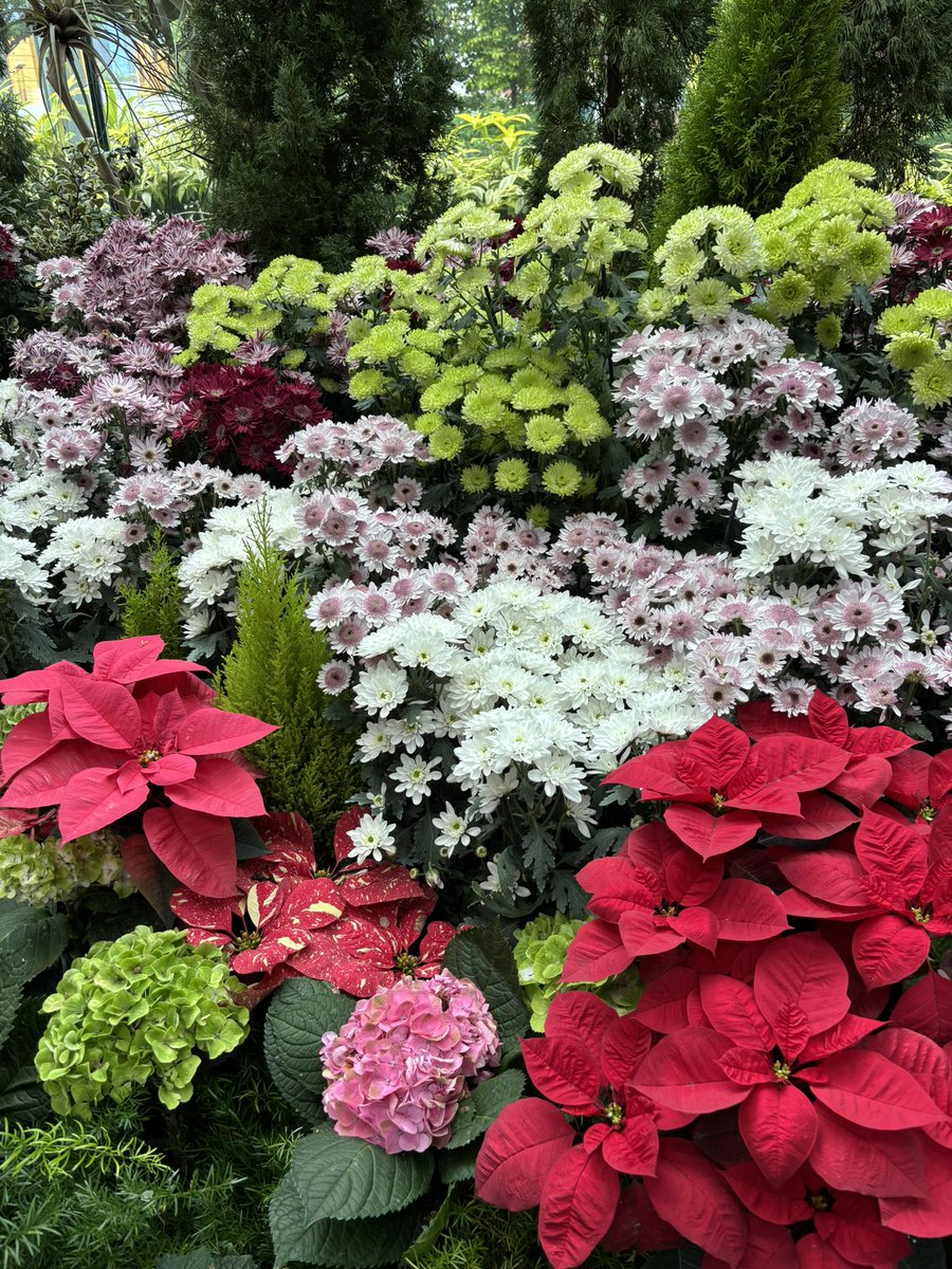 driftiu's tweet photo. I’ll post sum literal BEAUTY here, bcs Floral Fantasy was my favourite place in Garden by the Bays 😭🤌🏻😩❤️ https://t.co/i6PRAaouR0