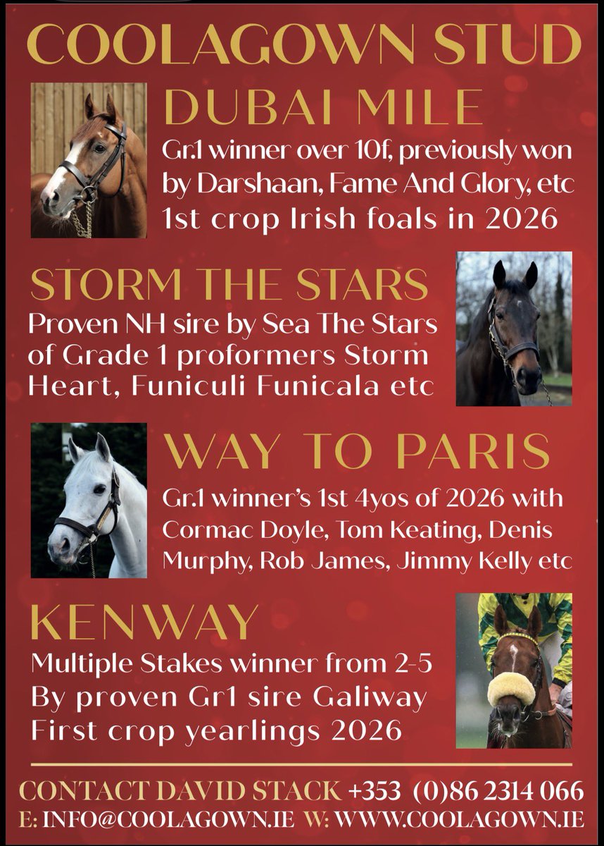 Coolagown Stud tweet media