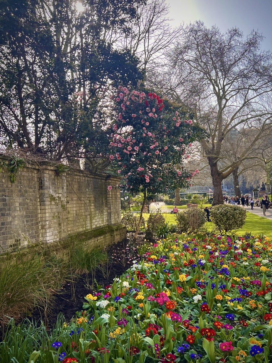 donnasmutiny's tweet photo. spring in London bring back my will to live https://t.co/fUVwWzswDn