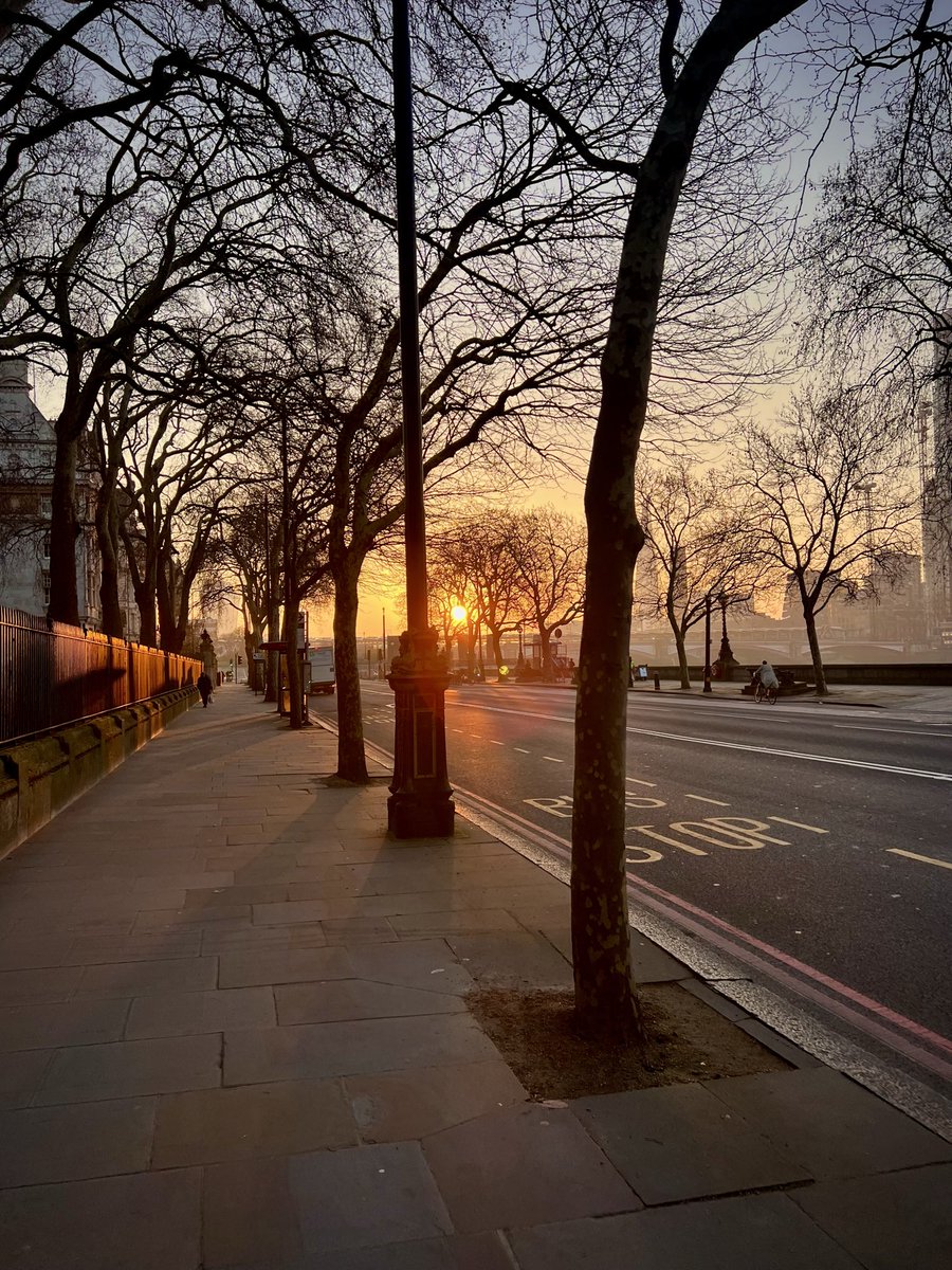 donnasmutiny's tweet photo. spring in London bring back my will to live https://t.co/fUVwWzswDn