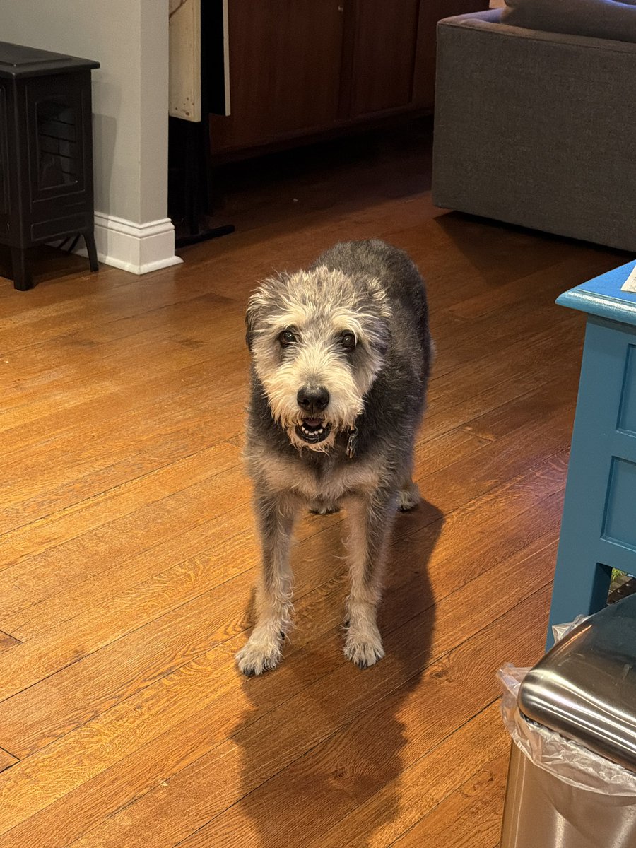 Christopher Gooley tweet media