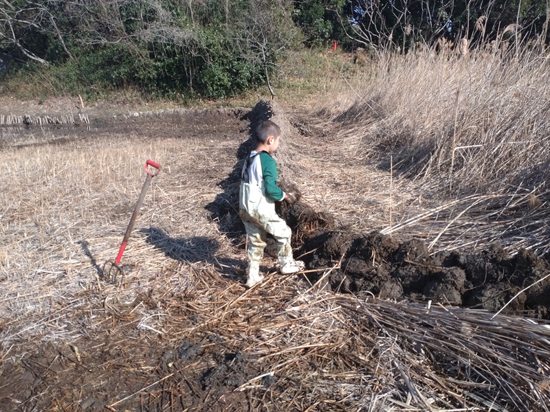 gNmj19K9pX1fhPe's tweet photo. 【次回の #ひがた・たんぼ倶楽部 のお知らせ】
 3月7日12:45分頃に鳥類園ウォッチングセンター１Ｆスロープ前集合！ 作業は生きもの探しと湿地整備をします。
予約等は不要。 幼児～大人までどなたでも！
胴長靴、軍手は貸出ＯＫ。
 汚れても良い服と着替えをお持ちください https://t.co/1H60tWyJtQ