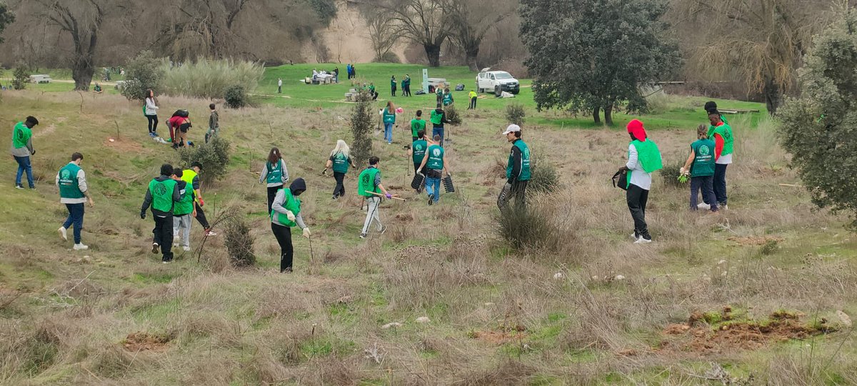 OSDAM_org's tweet photo. Nuestro último gran evento una repoblación en Villanueva del Pardillo con la ayuda de @Kobemotors #voluntariado #repoblacion #reforesta https://t.co/lFRqcvF6RK