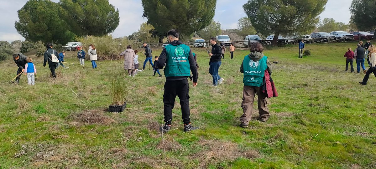 OSDAM_org's tweet photo. Nuestro último gran evento una repoblación en Villanueva del Pardillo con la ayuda de @Kobemotors #voluntariado #repoblacion #reforesta https://t.co/lFRqcvF6RK