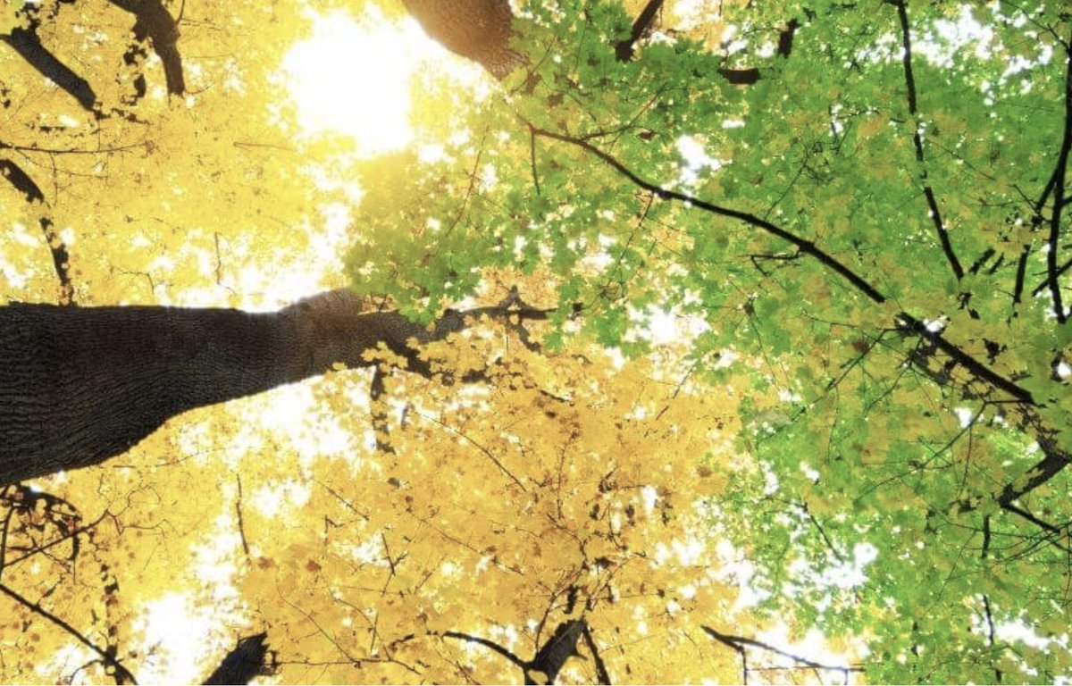 Federació Coopsconsum tweet media