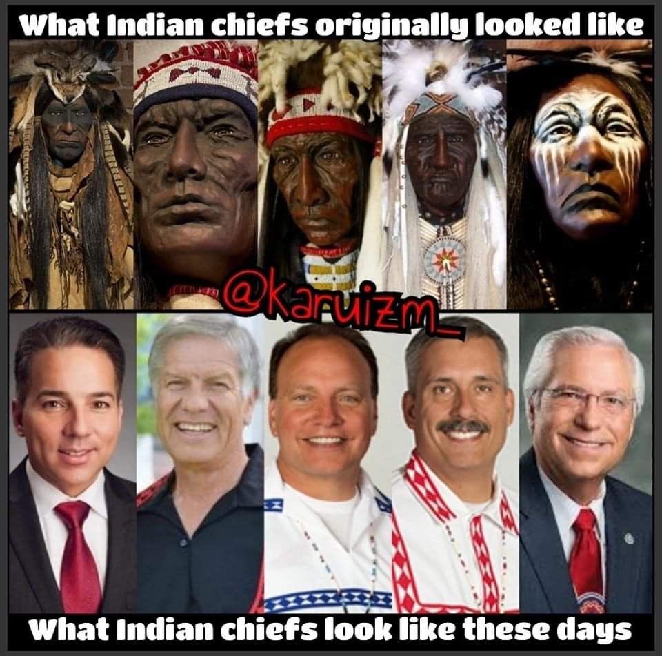 Darvid 🐢🪶🏹 tweet media