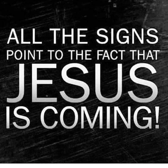 Evelyn Westfield tweet media