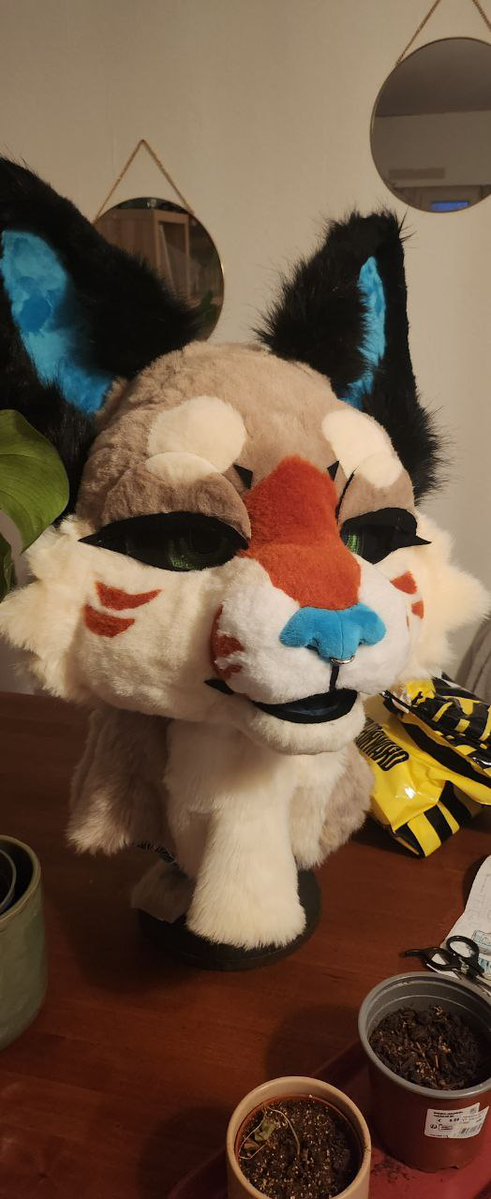 Myosogolf tweet media