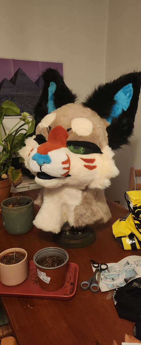 Myosogolf tweet media