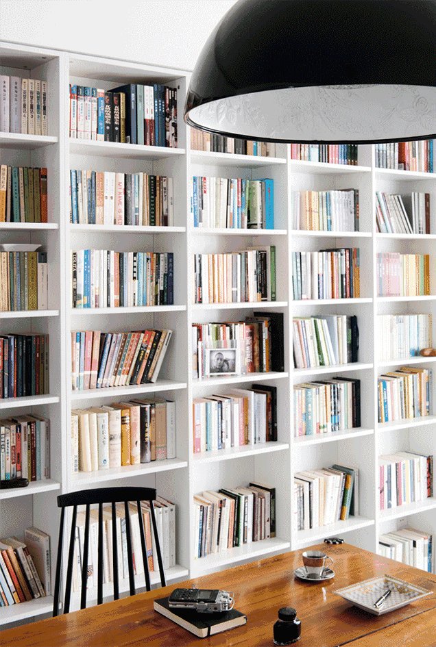 Luka Grcman. tweet media