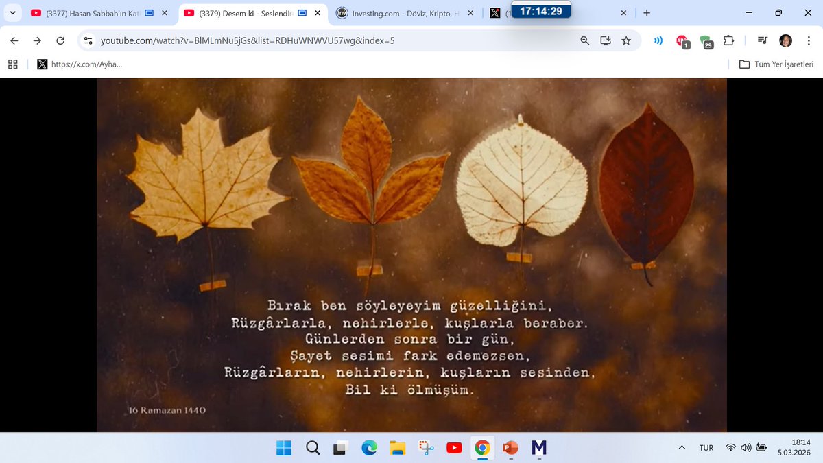 AyhanBorsa61's tweet image. #Sana #Ayyüzlüm e #Derya ma 
 Mahşere de kalsa kavuşmak