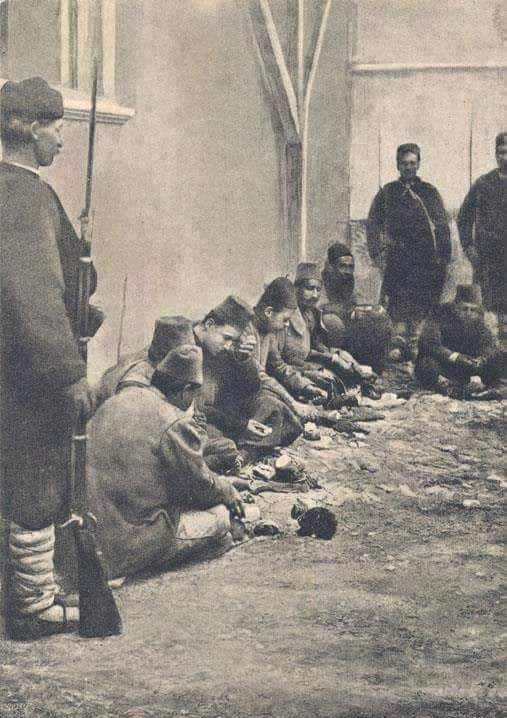 turqoisè tweet media