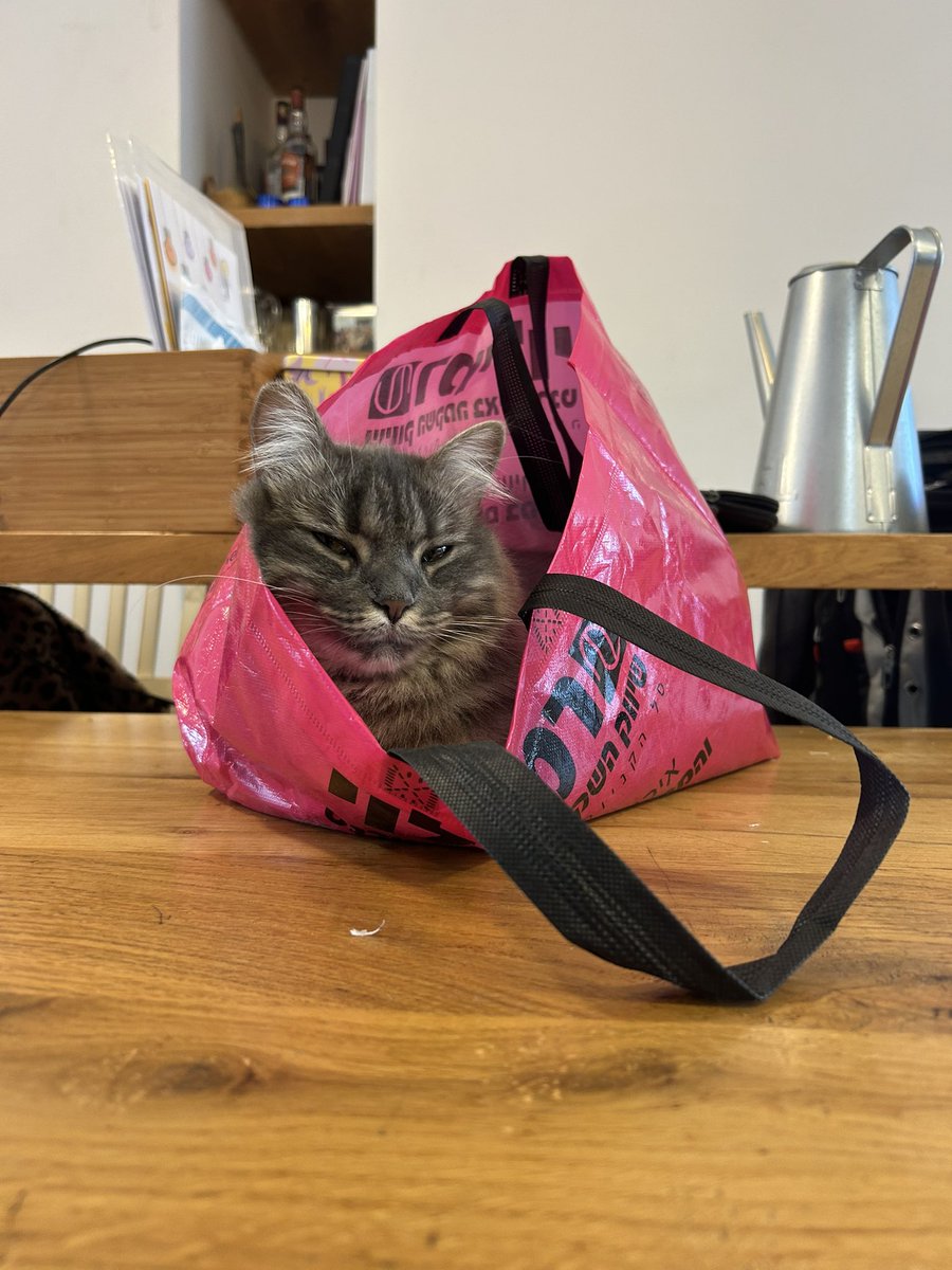 Shirli Lior tweet media