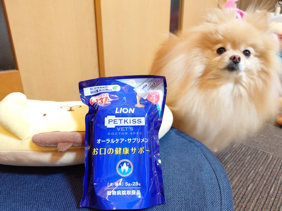 くまにゃん tweet media