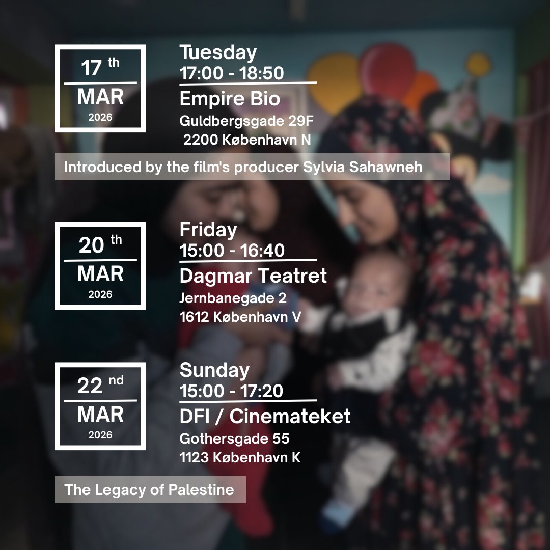 ALEF Multimedia tweet media