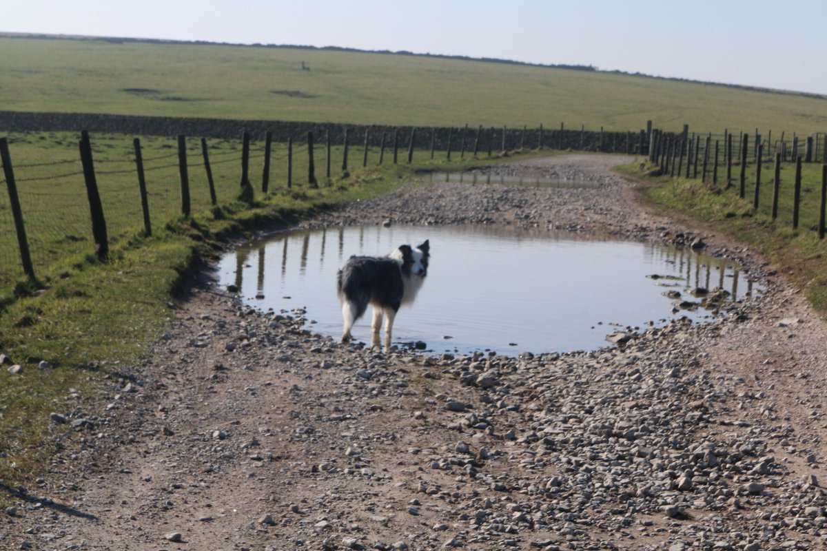 MAW Holmes tweet media