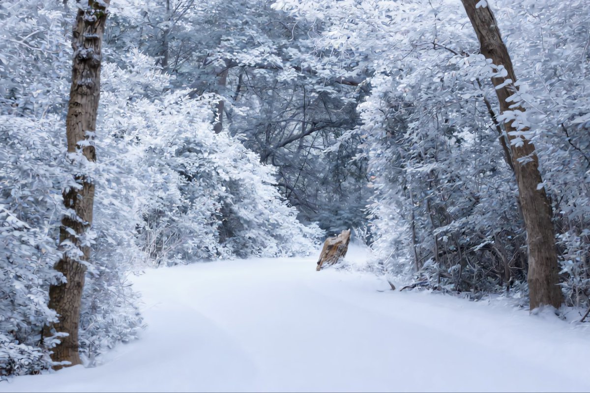 Long Island Blizzard