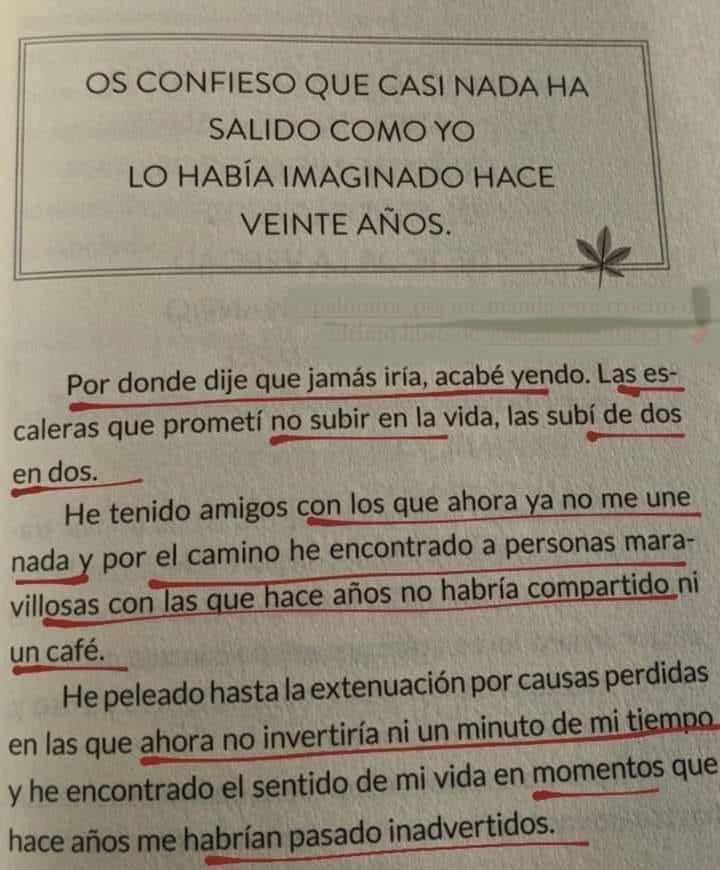 BANDIDOS (@bandidosfrasess) on Twitter photo 