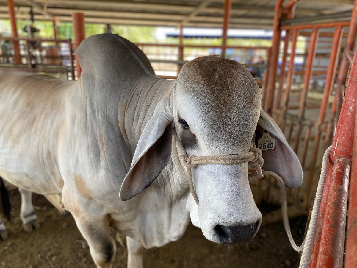 Ministerio de Desarrollo Agropecuario tweet media