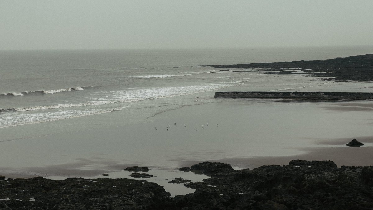 Alex Jay tweet media