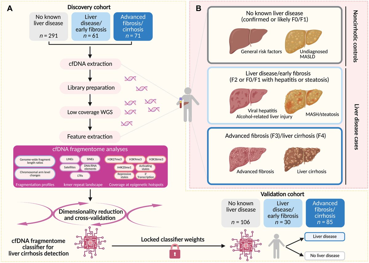 Science Translational Medicine tweet media