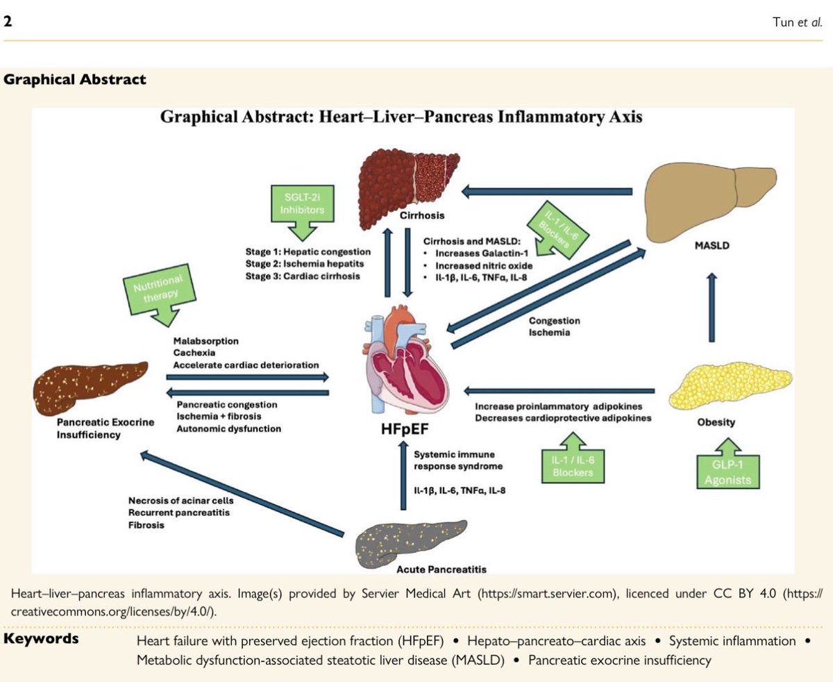 Henry Han tweet media