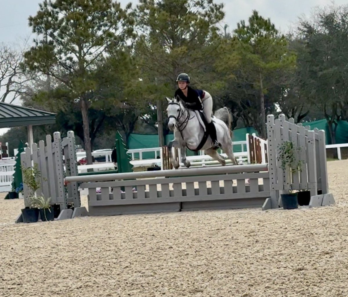 Underworld Arabians tweet media