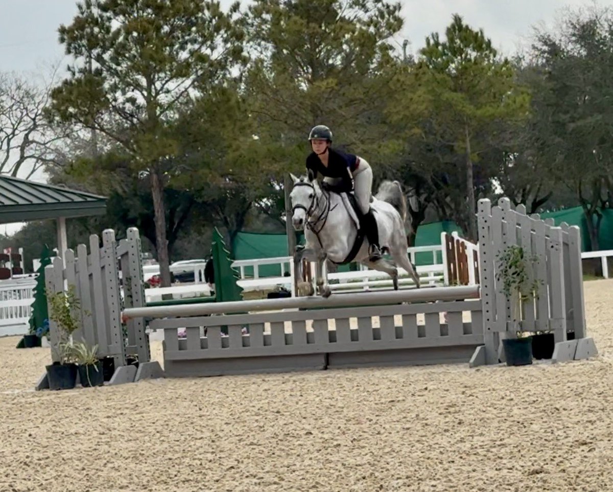 Underworld Arabians tweet media