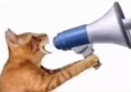 OtherSotelo's tweet photo. Llamado a TODO S.A

Necesito de su colaboracion y que me proporcionen lo siguiente:

1- Nombre del villano
2- Imagen del villano
3- Los tipos/clase del villano (bestia, anomalia, etc. Punto importante)

No pregunten el porque, gracias por la colaboreishon 
#SupremosAntagonistas https://t.co/dJmdFylmCl
