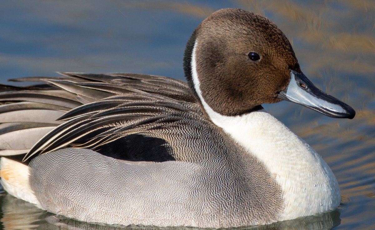 Sean Gray tweet media