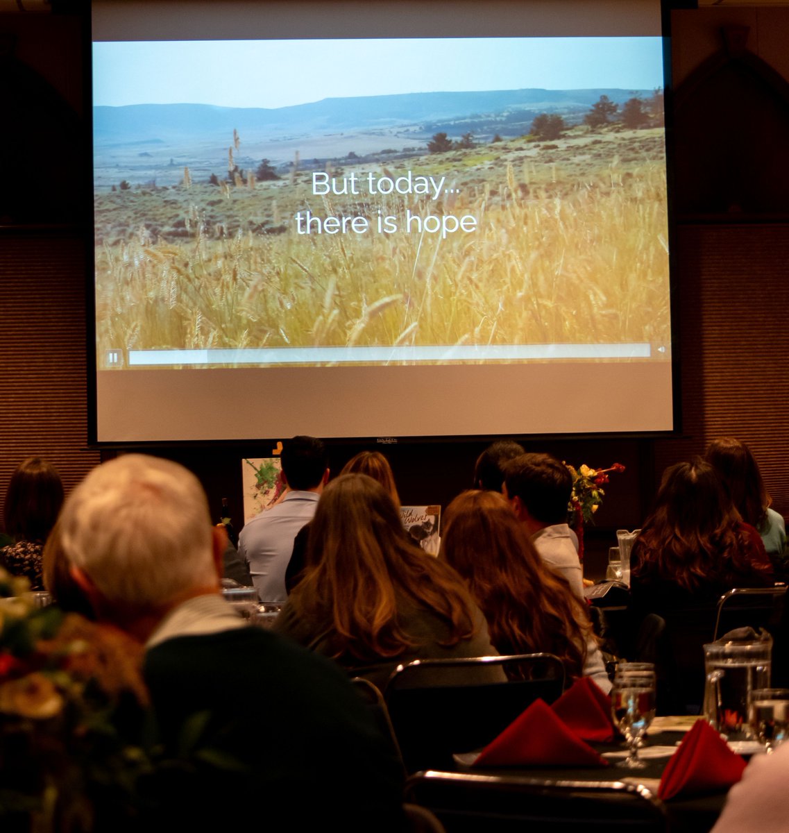 Wolf Haven International tweet media