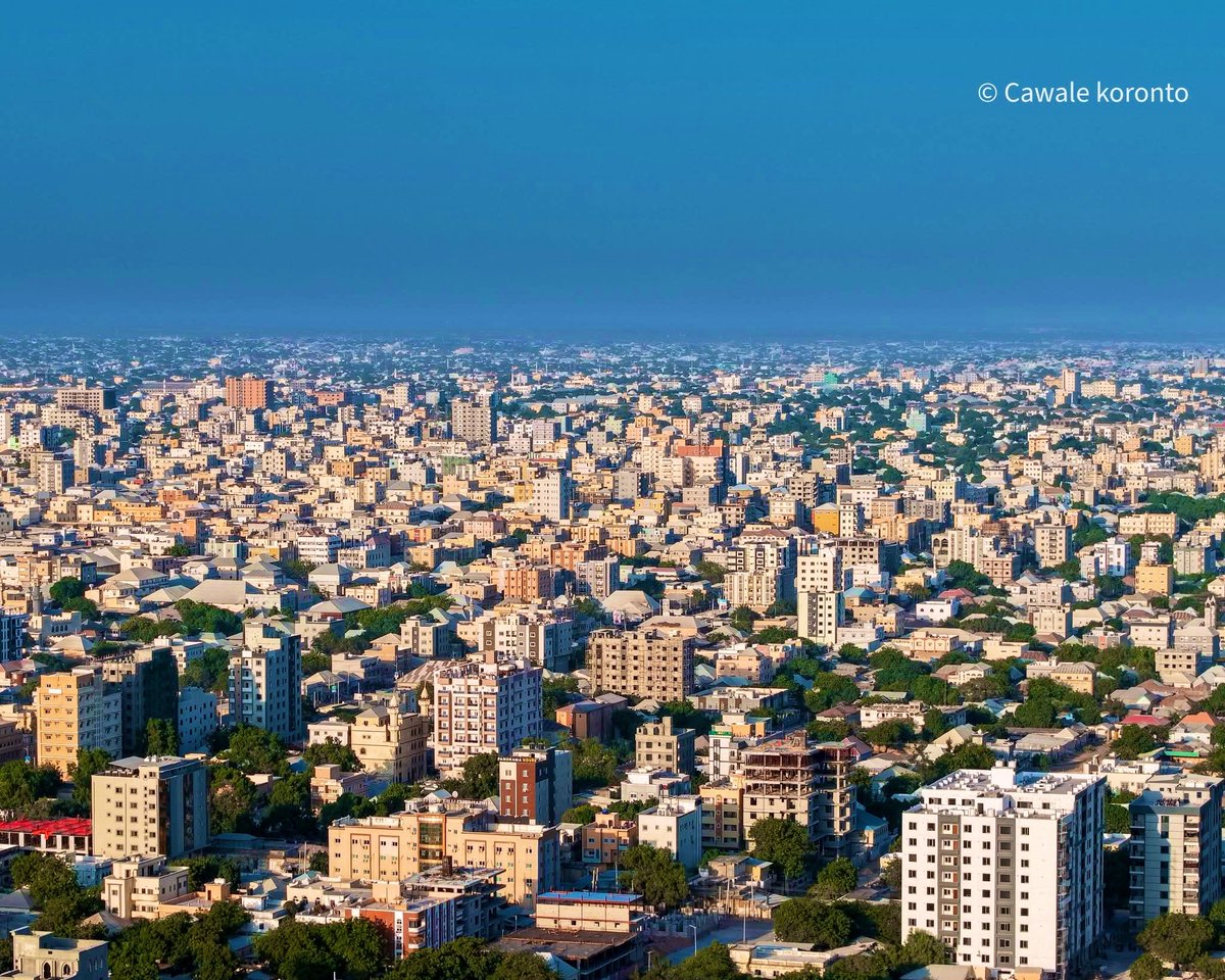 Dark Knight 🇸🇴 tweet media