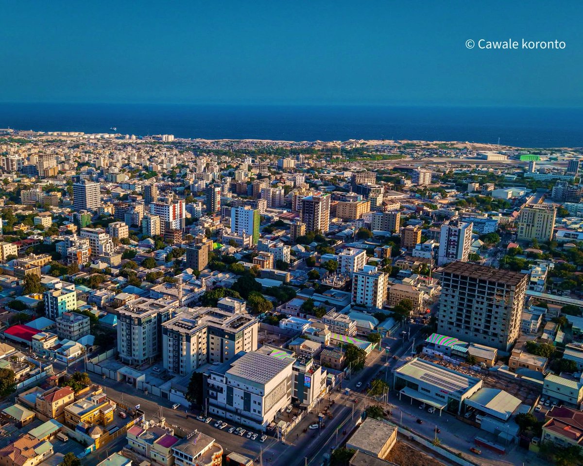 Dark Knight 🇸🇴 tweet media