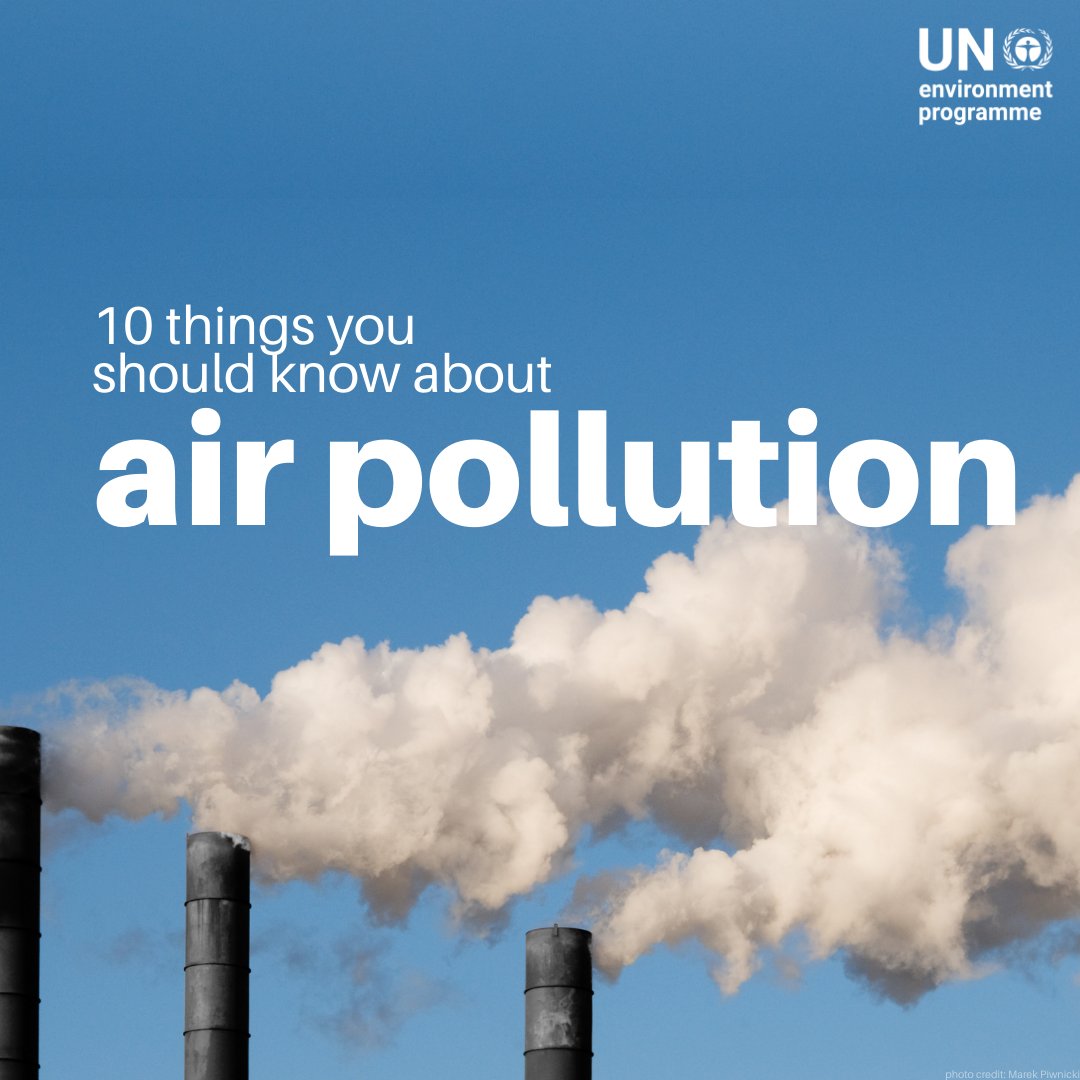 UN Environment Programme tweet media