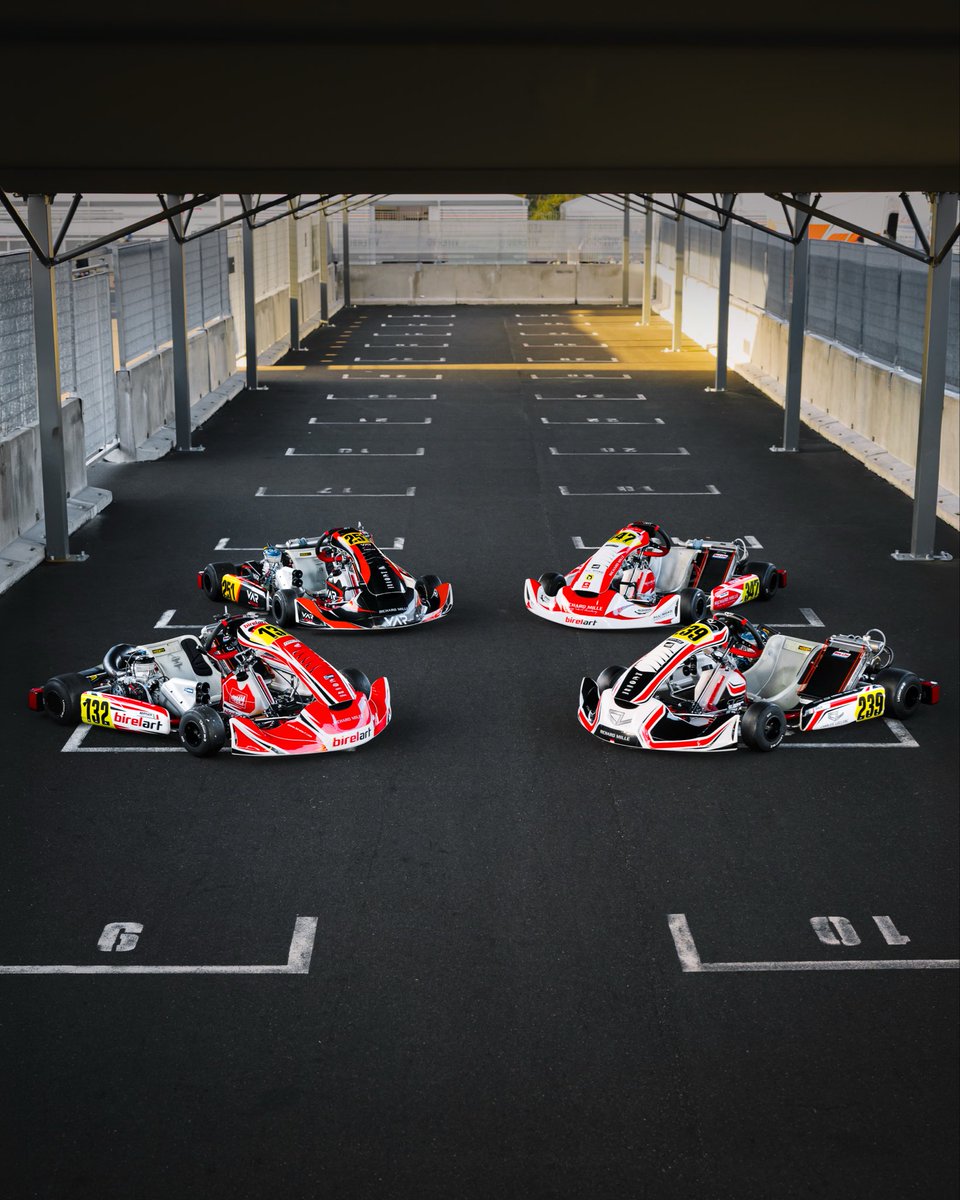 Birelart tweet media