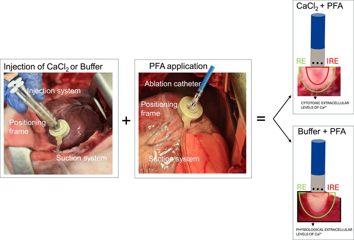 Heart Rhythm O2 tweet media