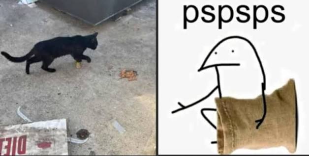 PeaceDubz 🔞 tweet media