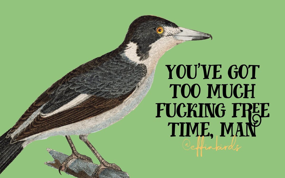 EffinBirds's tweet photo. https://t.co/JWvUBQt4i7